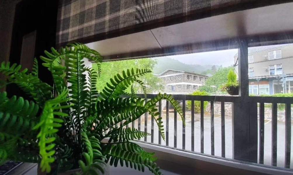 Fairy Falls Hotel Trefriw Dış mekan fotoğraf